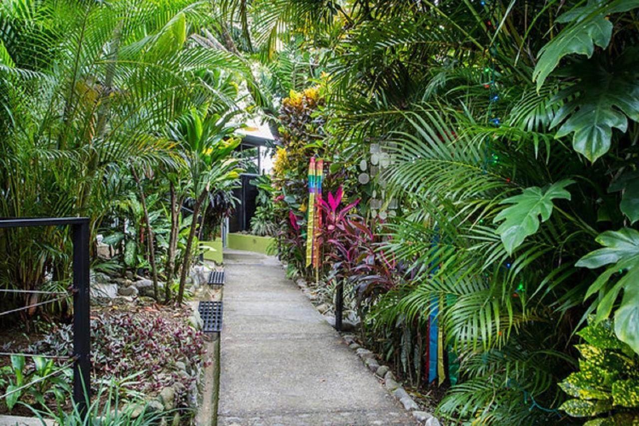 Tico Tico Villas - Adult Only Manuel Antonio Exterior photo